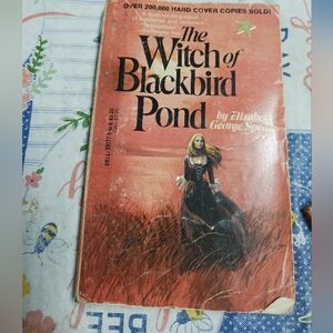 Original The Witch Of Blackbird Pond Paperback Book(1958)